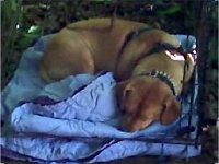 photos 2000-200901720
